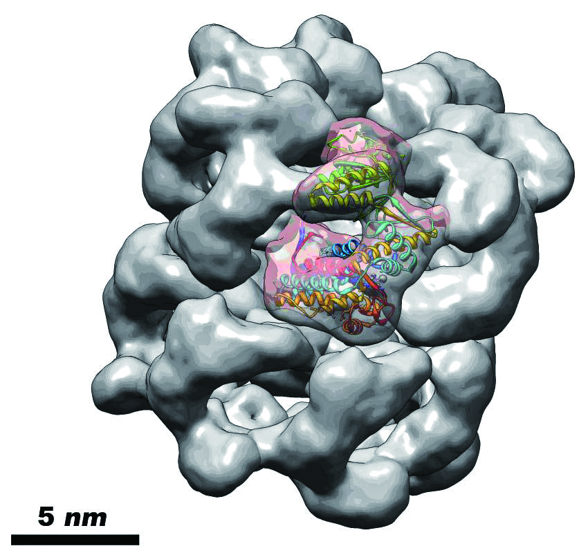 Electron Microscope Imaging Core Photo 02