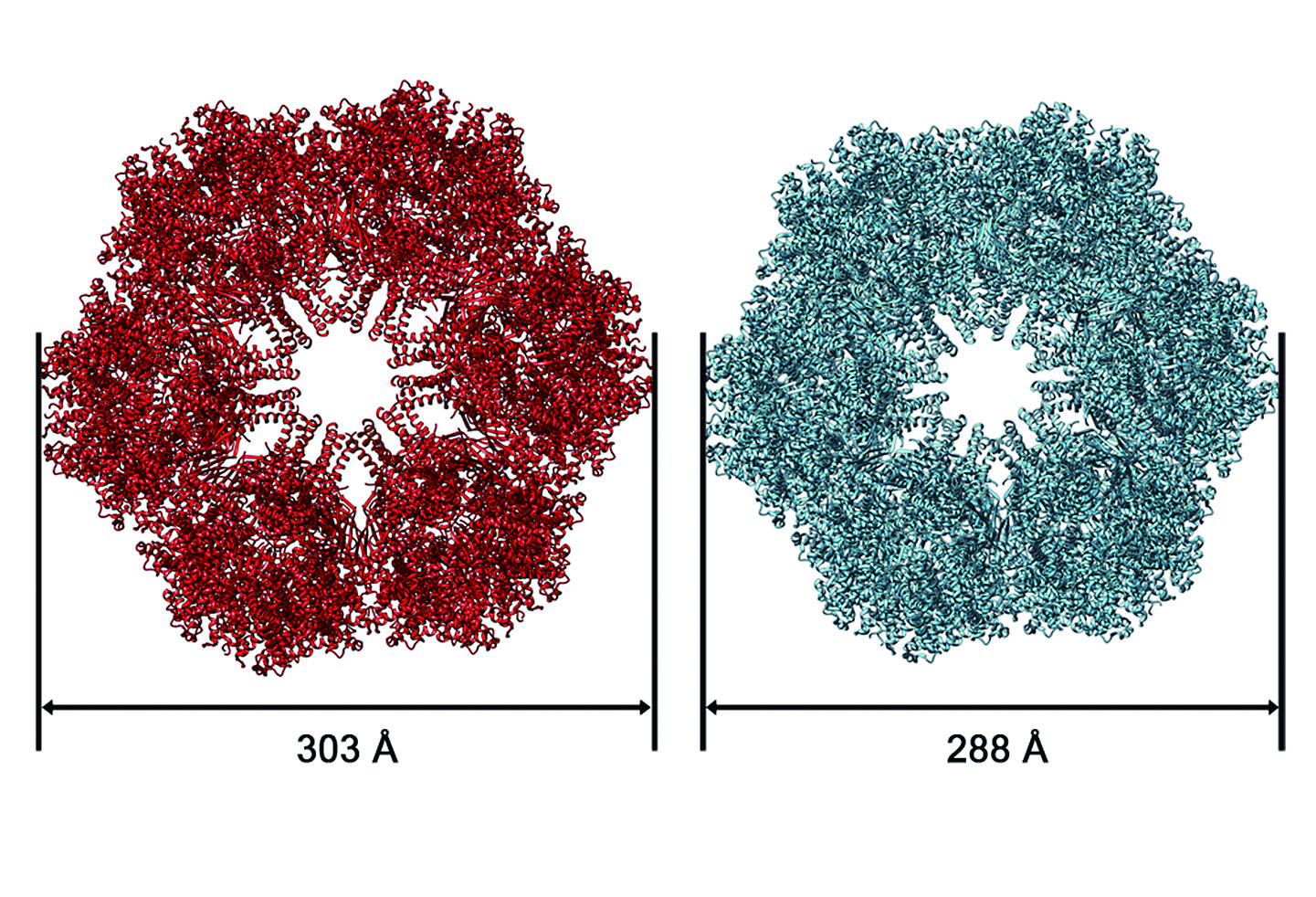 Electron Microscope Imaging Core Photo 04