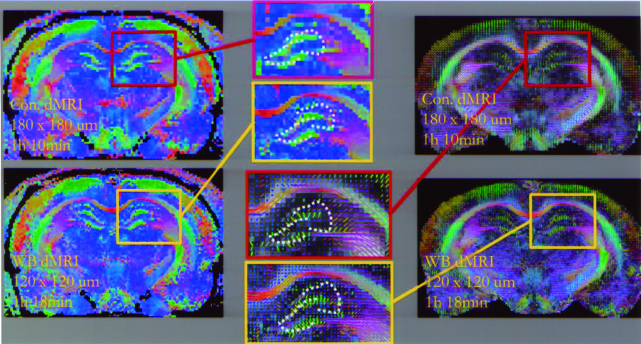 Magnetic Resonance Imaging Core Photo 02