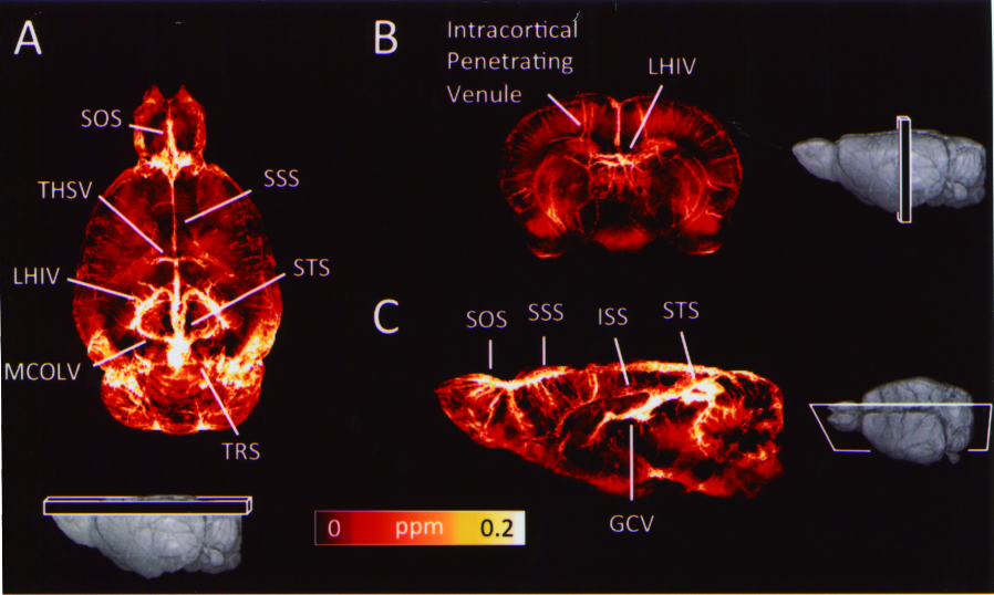 Magnetic Resonance Imaging Core Photo 03