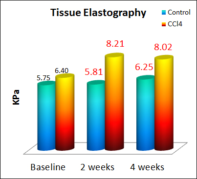 Ultrasound Imaging Core Photo 06