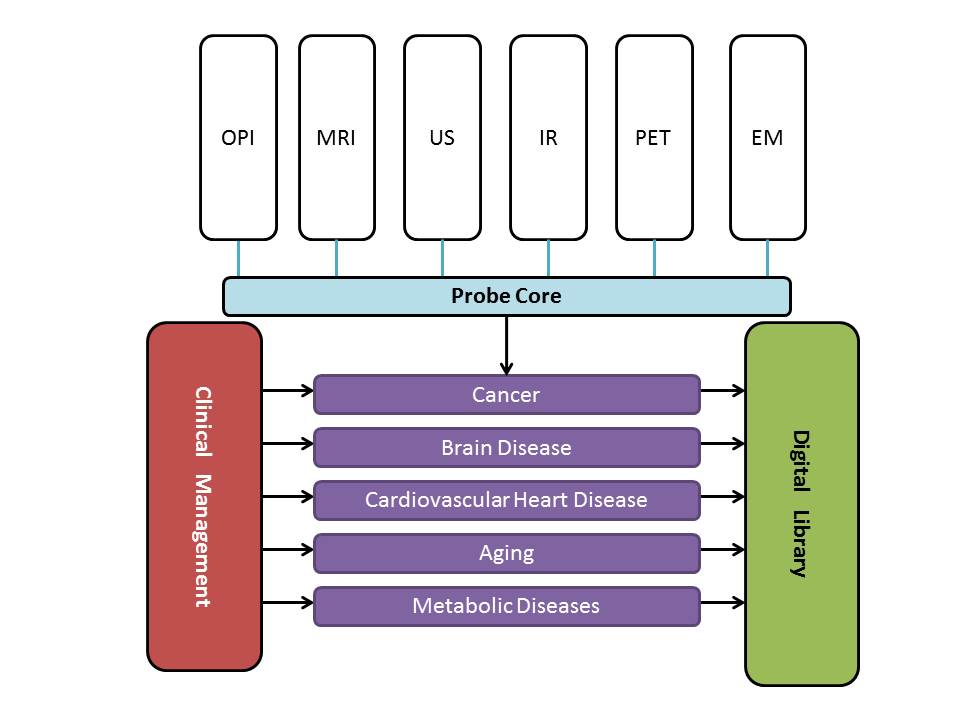 research aims